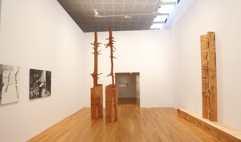 Giuseppe Penone, Impronte di Luce, installation view. Photo Silvia Muratore e Bruno Murialdo