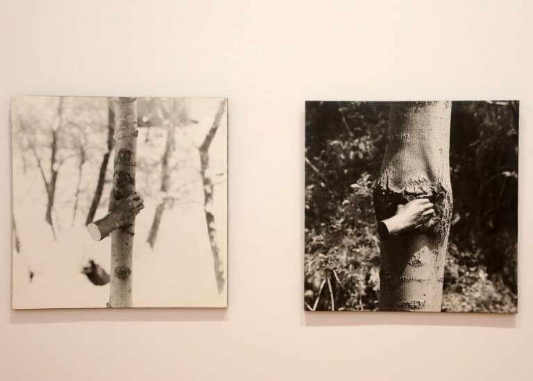 Giuseppe Penone, Impronte di Luce, installation view. Photo Silvia Muratore e Bruno Murialdo