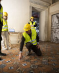 Il cantiere dell'Appartamento Barbo a Palazzo Venezia a Roma