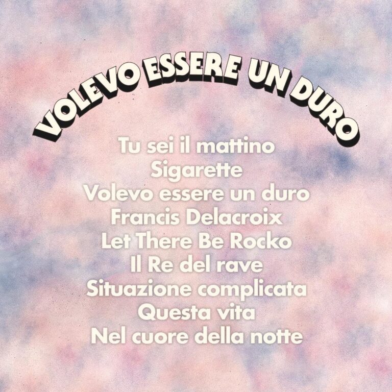 Il retro copertina di "Volevo essere un duro"