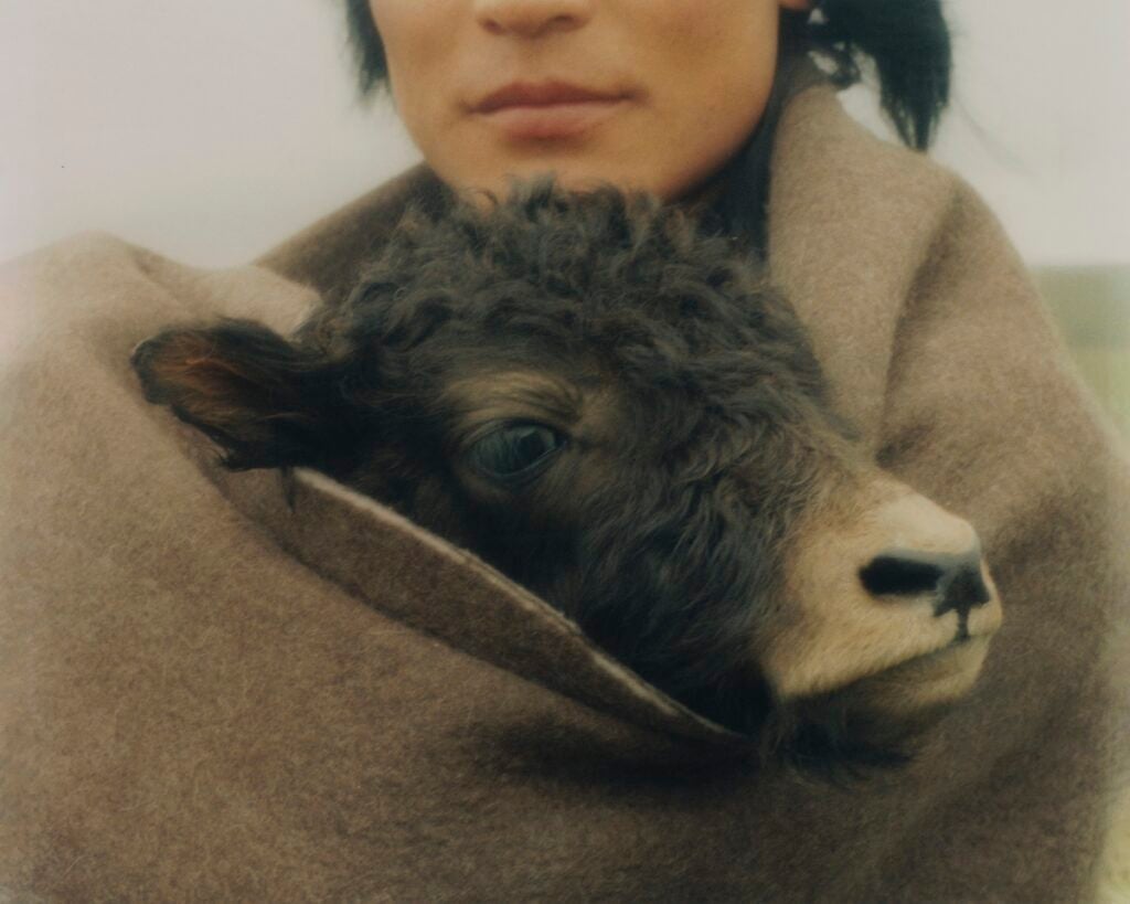 Kin Coedel, Kampot with his baby yak