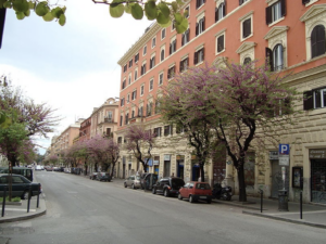 Gallerie d’arte, spazi espositivi e studi d’artista. Nuove realtà da vedere nel quartiere di San Lorenzo a Roma