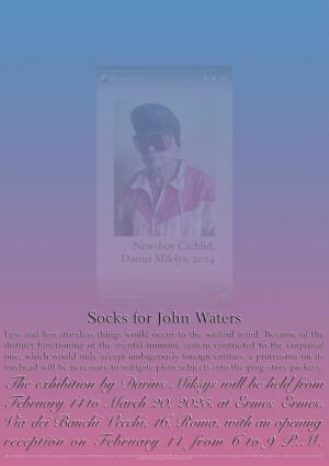 Darius Mikšys - Socks For John Waters