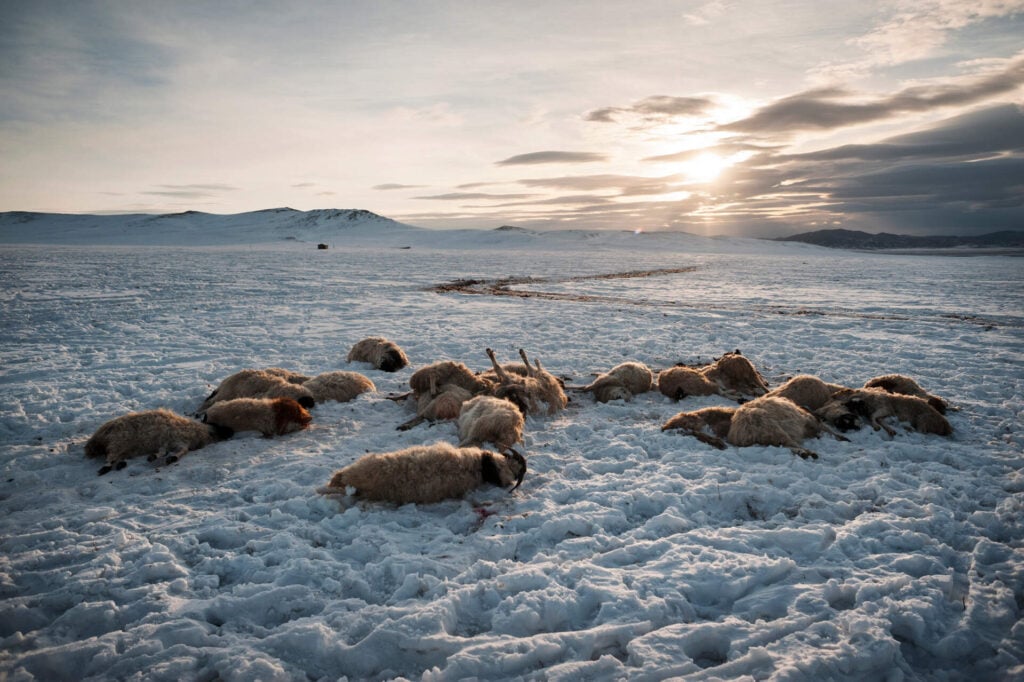 L’emergenza climatica ai quattro angoli del mondo nelle foto di Alessandro Grassani a Milano 