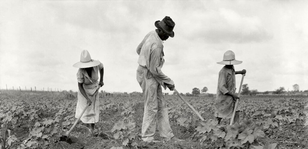 Dorothea Lange, Coltivazione con la zappa nel sud, Eutaw, Alabama, 1936