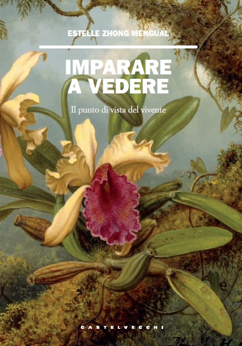 Imparare a vedere. Il punto di vista del vivente - Estelle Zhong Mengual