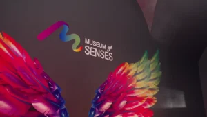 Inaugurazione Museum of Senses