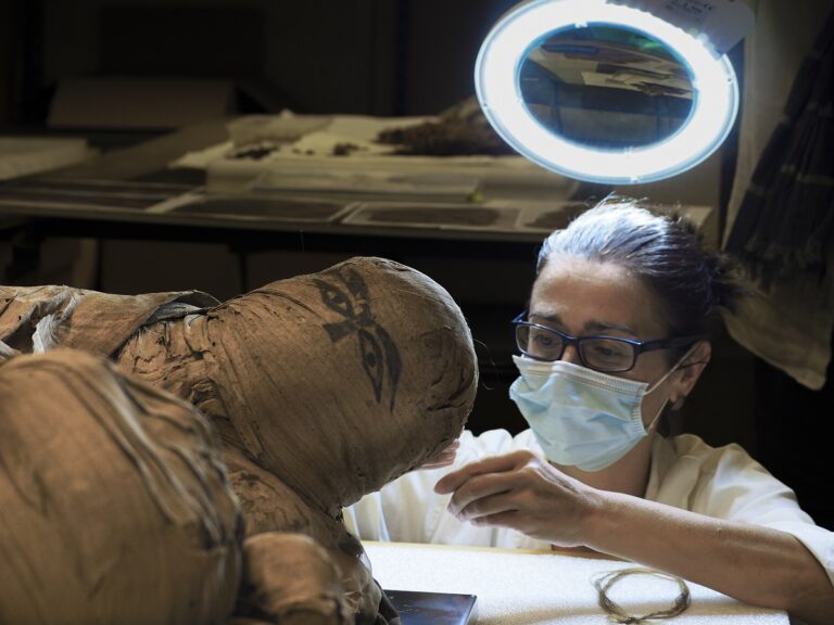 Nei laboratori di restauro del CCR La Venaria Reale