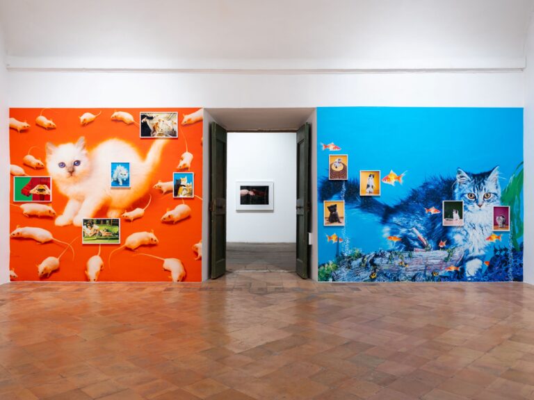 Chromotherapia, installation view at Villa Medici, Roma, Photo Daniele Molajoli