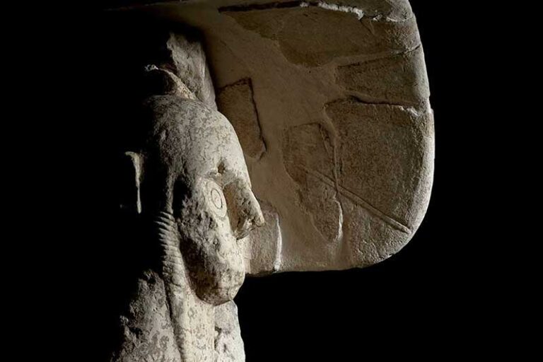 Dettaglio - testa e scudo - della statua di pugilatore detto “Efis”, IX-VIII sec. a.C., calcare, esposta al Museo civico Giovanni Marongiu di Cabras