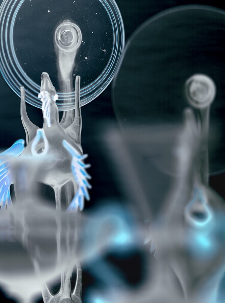 Elisa Sighicelli, Halos, courtesy Poldi Pezzoli
