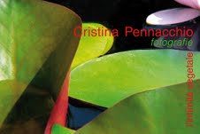 Cristina Pennacchio - L’intimità vegetale