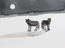 Nicola Magrin – Wolves