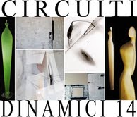 Circuiti Dinamici 14