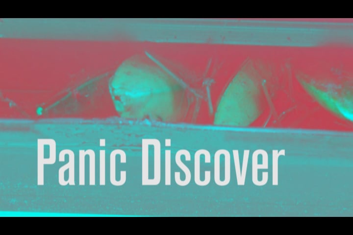 Panic Discover