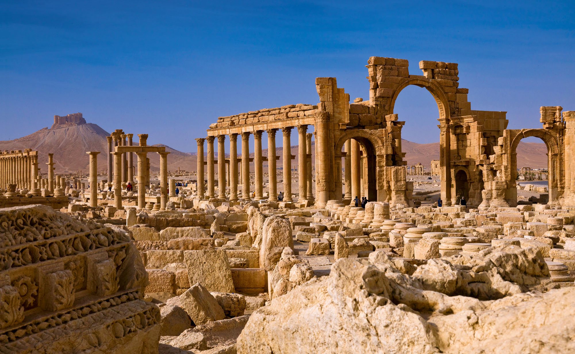 Palmira la meraviglia del deserto. Un omaggio a Khaled Al Asaad