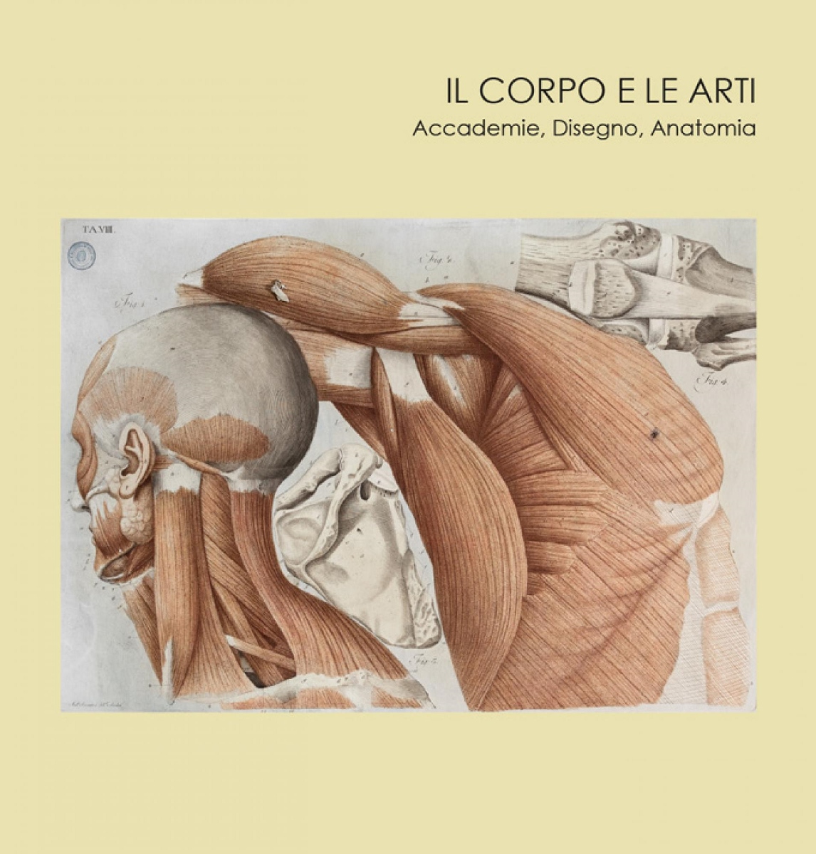 Il corpo e le arti. Accademie Disegno Anatomia | Artribune