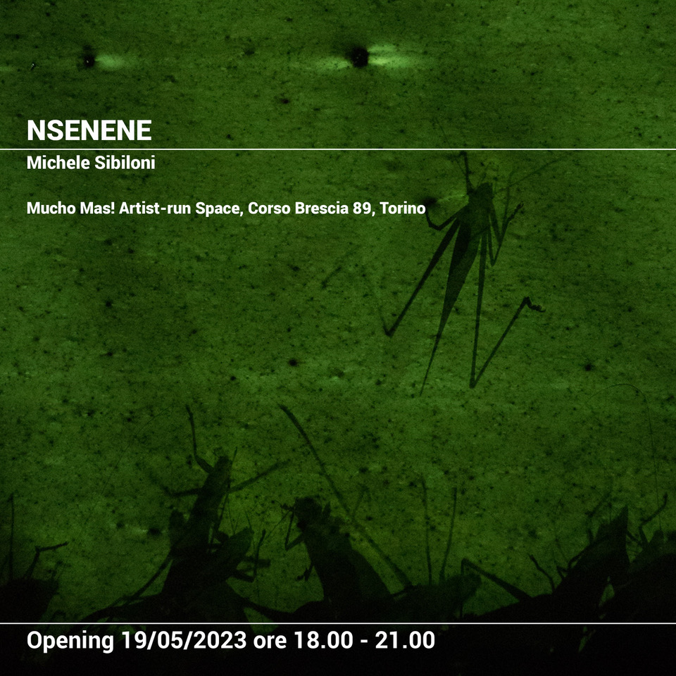 Michele Sibiloni - Nsenene