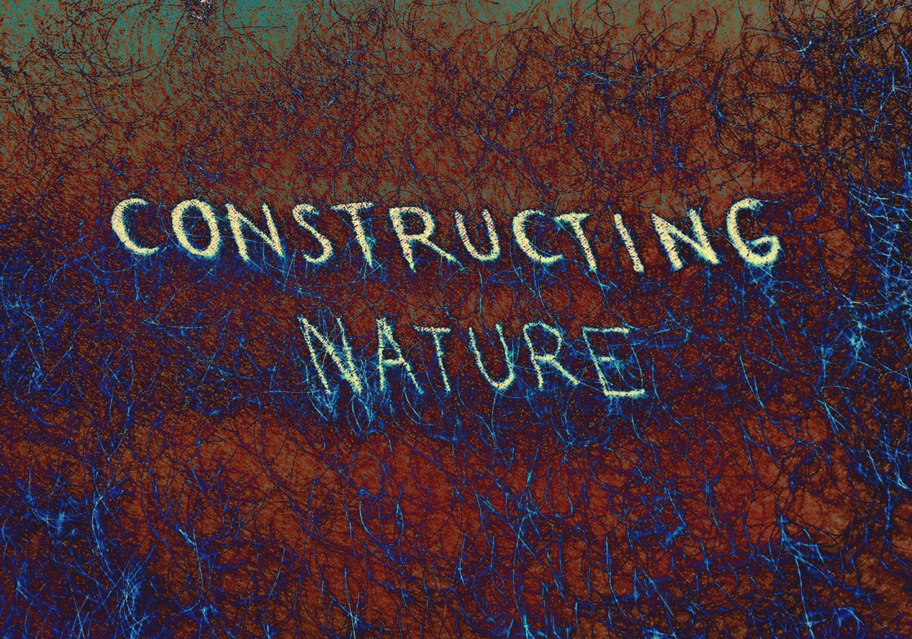 Javier Sarmiento / Asarfelt – Constructing Nature