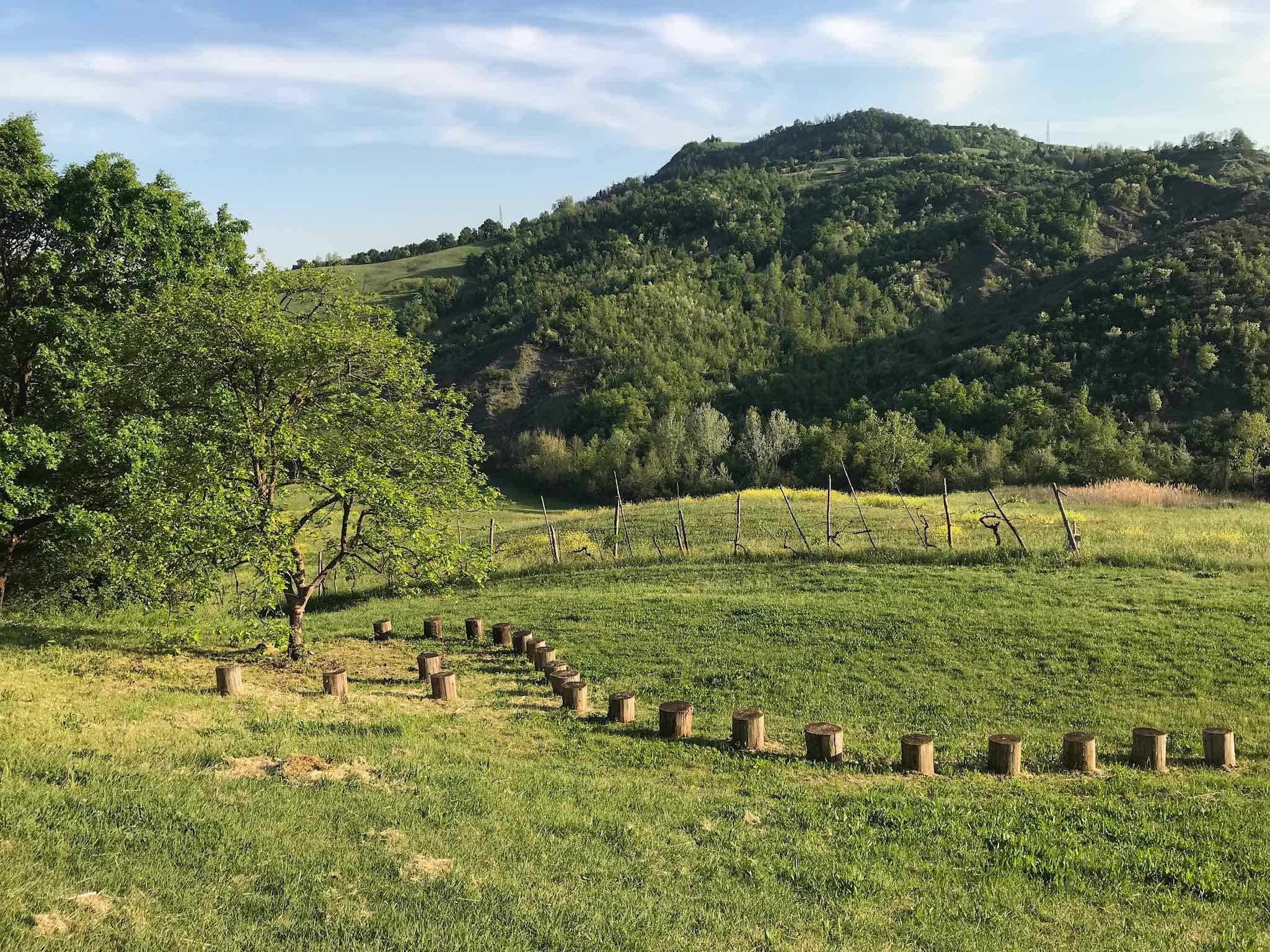 Scena Natura - Dialogo tra le arti e il verde